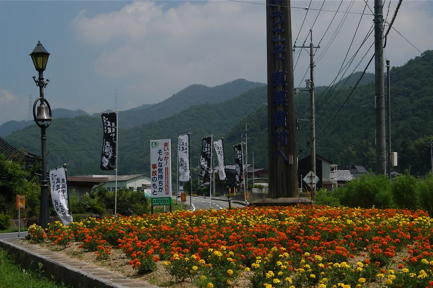 DSC_2600.jpg