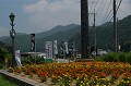 DSC_2600_thumb.jpg