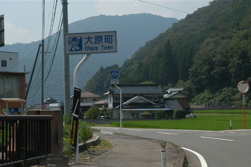 DSC_2602.jpg