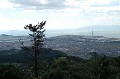 DSC_2870_thumb.jpg