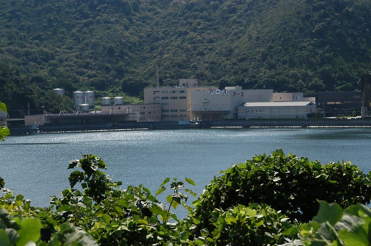DSC_2887.jpg
